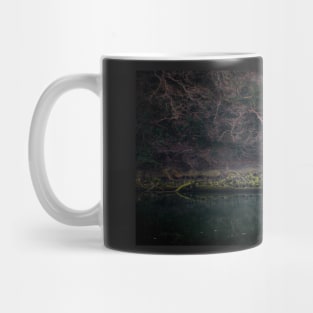 CAERNARFON WRECK Mug